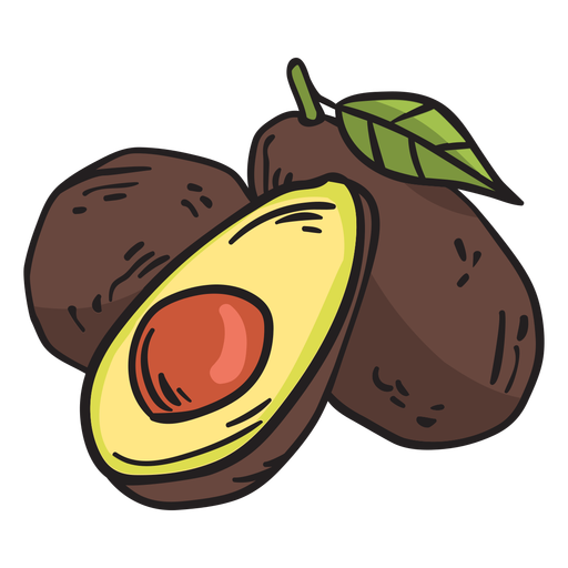 avacado-illustration